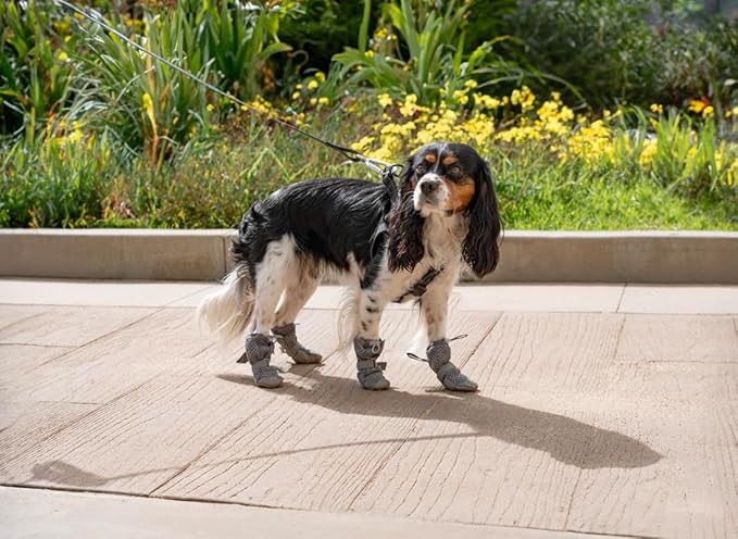 Canada Pooch Dog Boots for Hot Pavement - Dog Boots & Paw Protectors with Anti Slip Rubber | Water Friendly, Breathable Dog Shoes for Hot Days, Great for Dogs Grey - Size 1