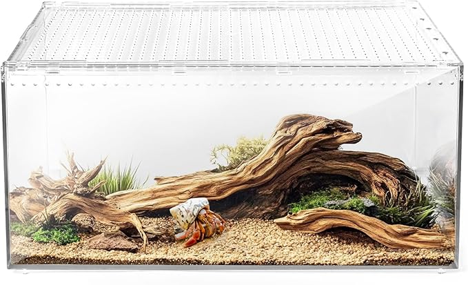 AZV Reptile Terrarium Tank,Versatile Enclosure for Leopard Crested Gecko,Lizard Cage,Spider Starter Kit,Hermit Crab Habitat,Tarantula Cribs,Perfect Aquarium for Snake,Frogs,Snails,Insects,Small Pets