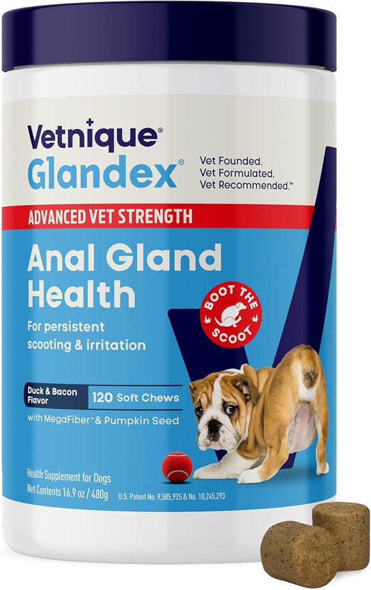 Vetnique Glandex Anal Gland Soft Chew Treats with Pumpkin for Dogs Digestive Enzymes, Probiotics Fiber Supplement for Dogs Boot The Scoot (Advanced Strength Duck/Bacon Chews (Vegetarian), 120 Ct)