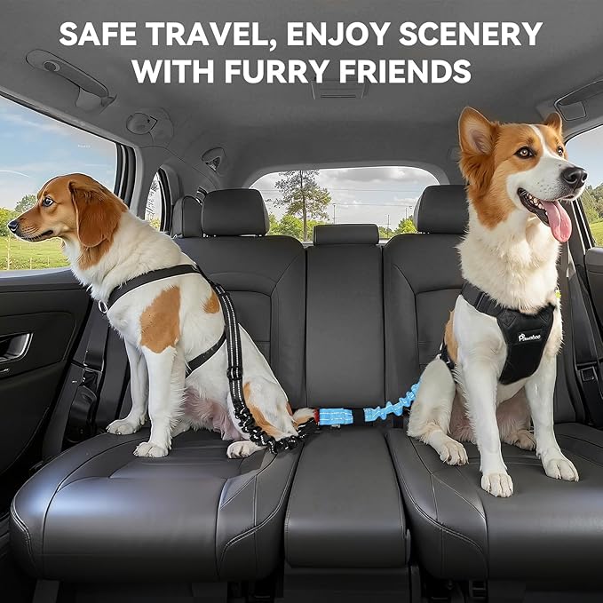 Pawaboo 2Pack Dog Seatbelt for Car, 3-in-1 Dog Seat Belt Bungee, Shockproof Dog Tether for Car with Buckle & Hook Latch, Adjustable Reflective Dog Car Harness Leash with 360° Lockable Buckle, Blue