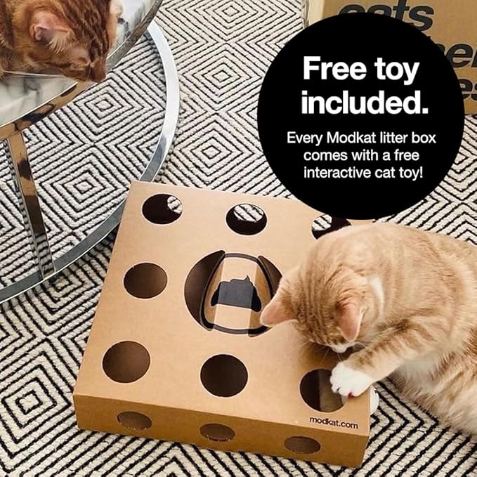 Modkat® XL Litter Box, Top or Front-Entry Configurable, Full Height Seamless Base, Reusable Litter Liners, Sifting Litter Scoop, 2X Bamboo Charcoal Filters - Gray