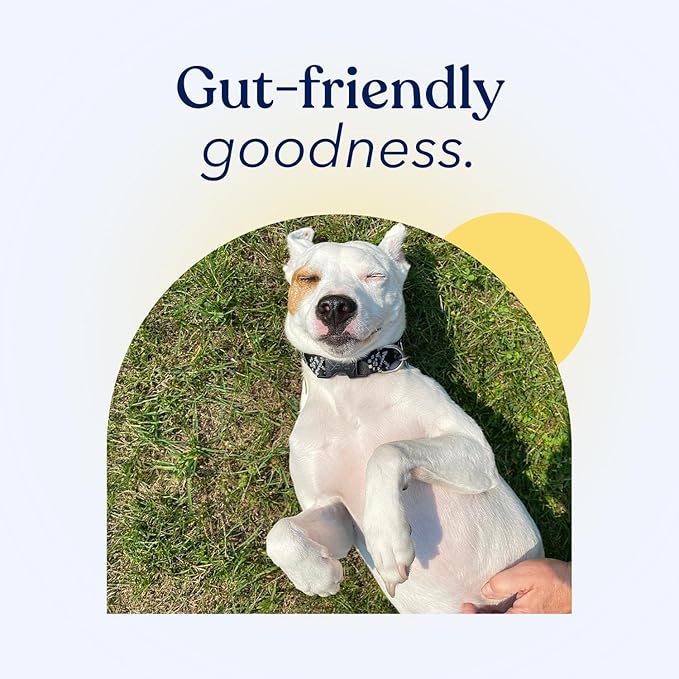 Honest Paws Probiotics for Dogs - Dog Digestion Gut Health Probiotic Powder with Prebiotic Made in The USA, Digestive and Immune Support - Digestive Enzymes with Pumpkin Flavor (30 Sticks)