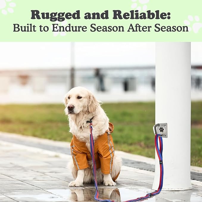 Canine Hitch- Secure Dog Leash Parking Mounted Indoor – Outdoor Wall Hook - Tie Out Stainless Steel Practical Lead Management for Home & Business, Ultimate Strength 2 Pack