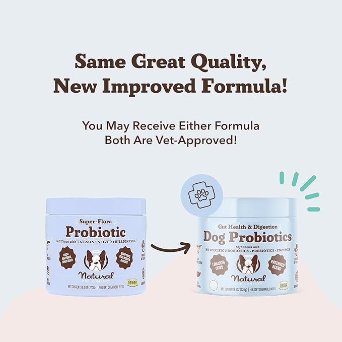 Natural Dog Company Gut Health & Probiotic Chews for Dogs (45 Ct), Prebiotics, Digestive Enzymes & Canine Specific Probiotics for Digestion, Gas, Loose Stool & Immune System Support, 1 Chew Daily