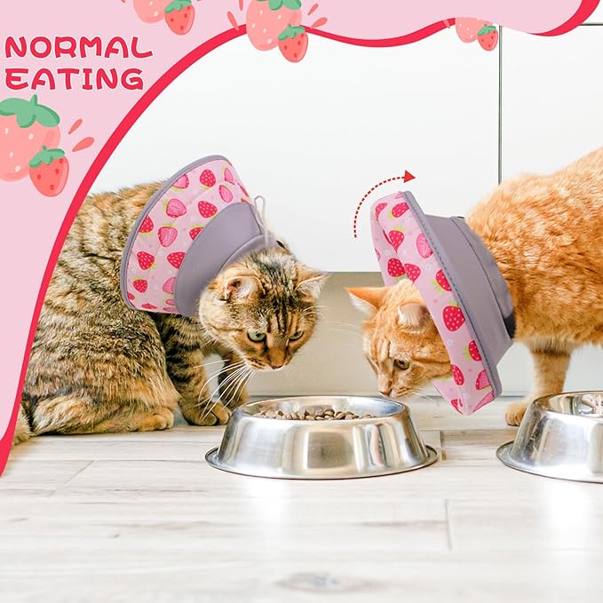 EXPAWLORER Cat Recovery Cone Collar- Soft Adjustable Pet Collar for After Surgery, Waterproof Elizabethan Protective Collar, Stop Licking Donut for Small Medium Kittens (Strawberries M (8.5-12 in))