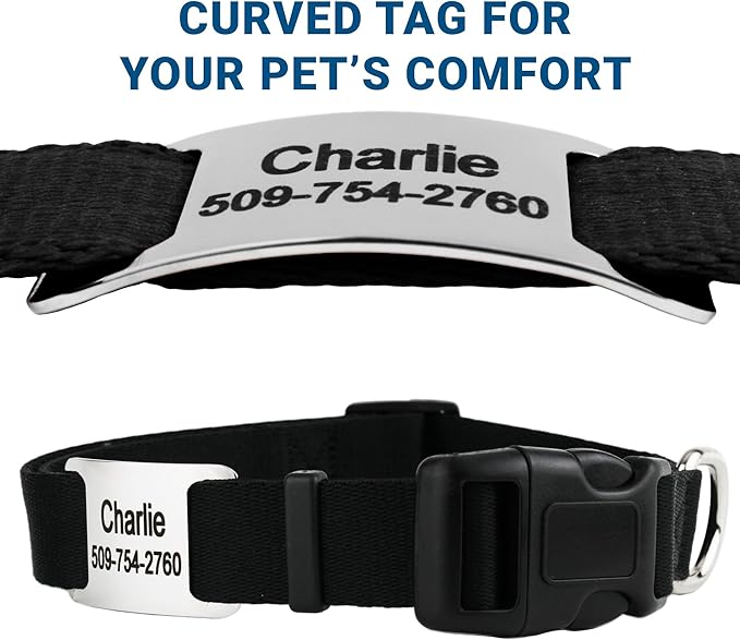 GoTags Personalized Dog Collar with Nameplate, Adjustable Dog Collar with Custom Engraved Slide On Pet ID Tag in Stainless Steel, Silent, No Noise Dog Tag (Light Blue, Medium)