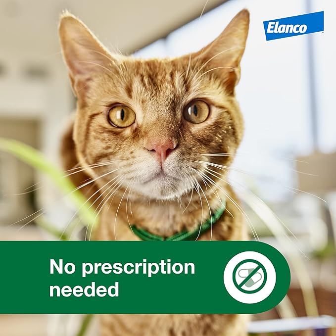 Advantage XD Small Cat Flea Prevention & Treatment For Cats 1.8-9lbs. | 4-Topical Doses, 2-Months of Protection Per Dose