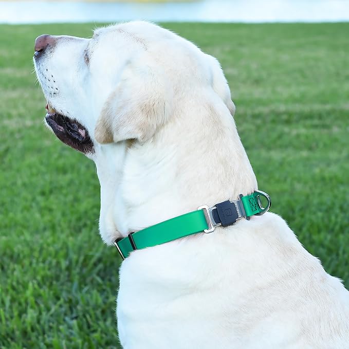 Dogline Biothane Waterproof Dog Collar with Herm Sprenger Black Stainless Steel Quick Release Buckle – Heavy Duty Tactical Durable Collar for Dogs – Comfortable and Safe Pet Collar W 1" L 15-25" Teal
