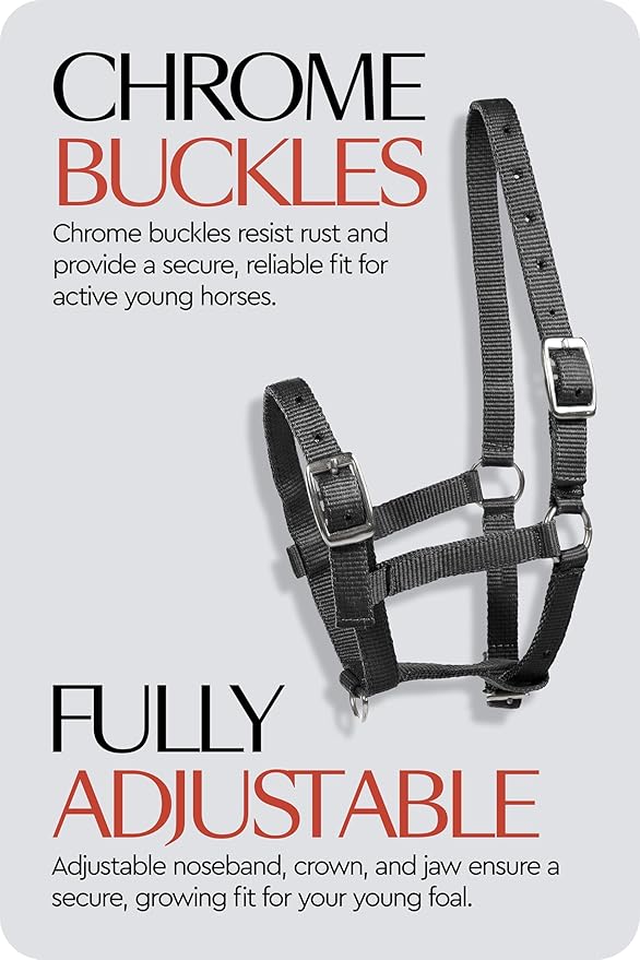 HORZE Adjustable Nylon Horse Halter for Foals, Colts, Fillies, Mini Horse Halter | Comfortable Small Horse Halter with Sturdy Buckles - Black - Foal