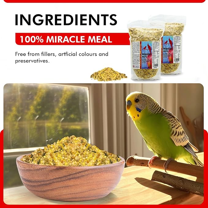 Morning Bird Miracle Meal 3 lbs (2-Pack, 1.5 lbs Each) – Soft Food for Birds with Vitamins & Supplements – Packed with Protein, Minerals & Amino Energy – Promotes Strong Feathers & Overall Wellness