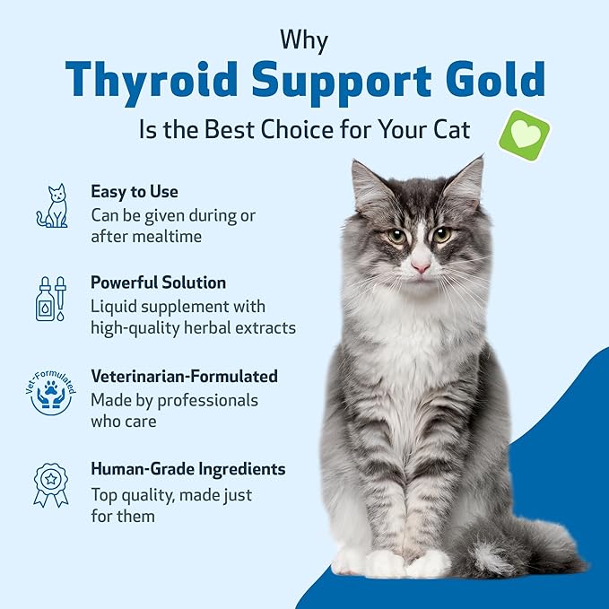 Pet Wellbeing Thyroid Support Gold for Cats - Supports Healthy Thyroid Gland Function in Cats, Normal Metabolism, Bugleweed, Lemon Balm - Veterinarian-Formulated Herbal Supplement 2 fl oz (59 ml)