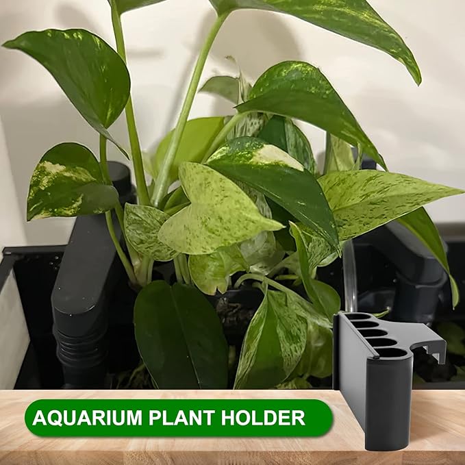 Aquarium Plant Holder for Rimmed Tank, Aquarium Hanging Plant Holder, Plastic Aquatic Plant Pot with 5 Hole, Fish Tank Decorations for Aquatic Plants, 0.5 inch
