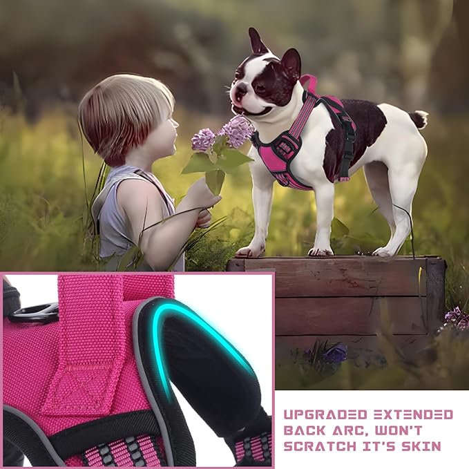 BUMBIN Dog Harness for Large Dogs, No Pull Adjustable No Choke Pet Vest with Dog Leash Fit Smart Reflective Pet Walking Harness for Training Easy Control Soft Handle Rose Red S