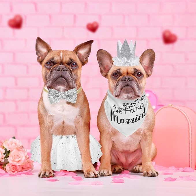 SCENEREAL Dog Wedding Outfit Dress with Bandana Bowite Collar and Crown Hat Set for Dog Girls, Puppy Kitty Party Supplies, Tutu Skirt Costume for Small Medium Large Dogs Girl Cats