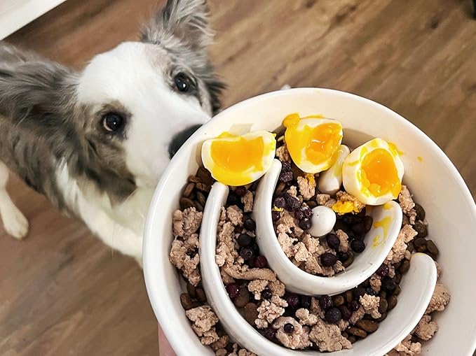 Slow Feeder Dog Bowl - 1.5 Cups Ceramic Puzzle Feeder for Small & Medium Breeds, Maze Design Bowl for Puppy & Fast Eaters, White Pet Dish to Control Eating Speed