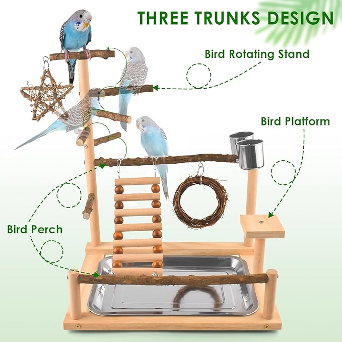 KATUMO Bird Playground - Natural Wooden Perches Parakeet Ladder Conure Swing Bird Cage Accessories with Removable Tray & 2 Stainless Steel Cups