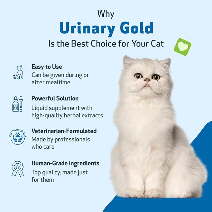 Pet Wellbeing Urinary Gold for Cats - Supports Urinary Tract Health, Normal Frequency, Healthy Immune Response, Stoneroot, Hydrangea - Vet-Formulated Herbal Supplement 4 fl oz (118 ml)