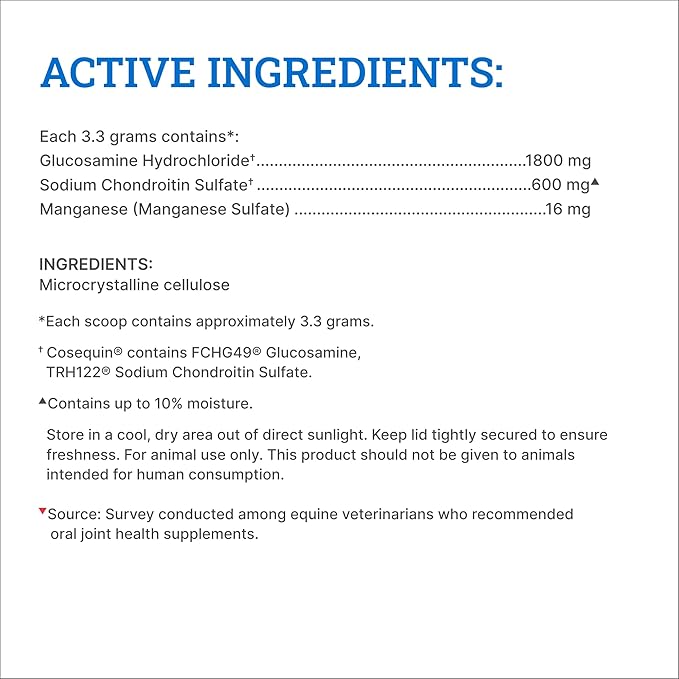 Nutramax Cosequin Original Joint Health Supplement for Horses - Powder with Glucosamine and Chondroitin, 700 Grams