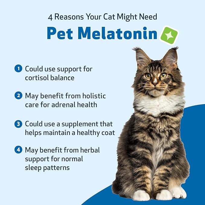 Pet Wellbeing Pet Melatonin for Cats - Supports Adrenal & Thyroid Health, Cortisol Balance, Helps Maintain Normal Sleep Patterns - Veterinarian-Formulated Liquid Supplement 2 fl oz (59 ml)