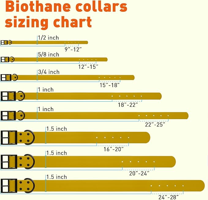 Dogline Biothane Waterproof Dog Collar Strong Coated Nylon Webbing with Black Hardware Odor- Proof for Easy Care Easy to Clean High Performance Fits Small Medium or Large Dogs, Treasure Gold