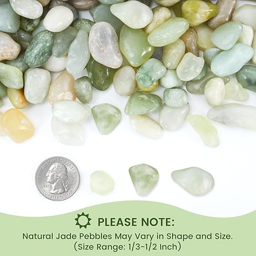 SIDONG 10 LB Jade Pebbles, 2/5 Inch Natural Decorative Polished Jade Stones, Jade River Rocks for Succulents, Cactus, Vases, Indoor Plants, Garden Landscaping, Bamboo