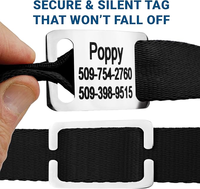 GoTags Reflective Personalized Dog Collar with Nameplate, Adjustable Dog Collar with Custom Engraved Steel Slide On Pet ID Tag, Silent, No Noise Dog Tag for Large Medium or Small (Hunter Green, Small)