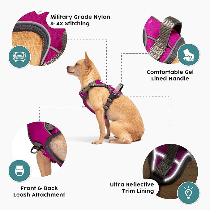 Embark Adventure Dog Harness, Reflective Trim XL Dog Harness for Extra Large Dogs No Pull - Military Grade Nylon, 2 Leash Clips & Gel Lined Handle.
