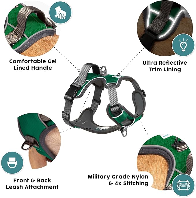 Embark Adventure Dog Harness, Reflective Trim No Pull Dog Harnesses for Small Sized Dogs - Military Grade Nylon, Front Clip with Gel Lined Handle.