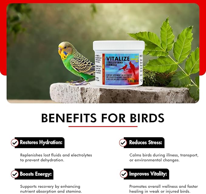 Morning Bird Vitalize, Supplement for Sick, Injured, or Stressed Caged Birds; Dehydration and Exhaustion Treatment for Parakeets, Cockatiels, Budgies, Finches, Canaries, and Parrots, 3 oz