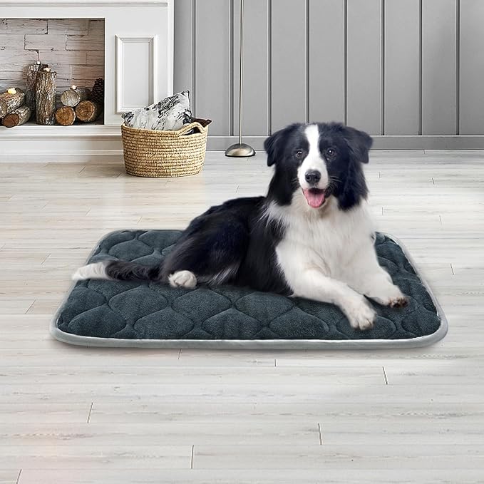 furrybaby Dog Bed Mat Flat Crate Mat with Anti-Slip Bottom Machine Washable Pet Kennel Pad for Dog Sleeping (M 30x19'', Grey Mat)