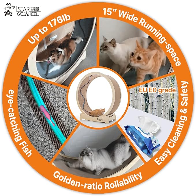 Star Cat Wheel, Cat Treadmill, Exercise Wheel for Running, Spinning, Scratching, and Climbing for Indoor Cats, Premium Birch Wood, Eco-Friendly, Moving Fish, Wide Running Track, 47.2 inch XL Size