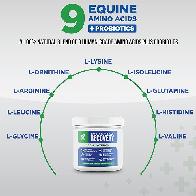 Pivotal Power+ Horse Supplement (174g/0.38lbs - 30 Servings) - 9 Equine Amino Acids Plus Probiotics for Horses - No Added Sugar, No Soy, No Fillers - Horse Joint Support Supplement, White