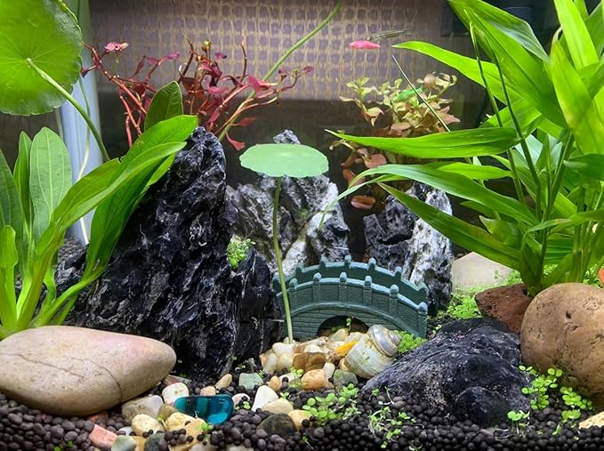 Unocho Seiryu Rock Stone Aquarium Rocks 40LB Fish Tank Rocks for Aquariums Landscaping Model Tank Decoration Aquarium Miniature and Fairy Garden-3 to 12 inches