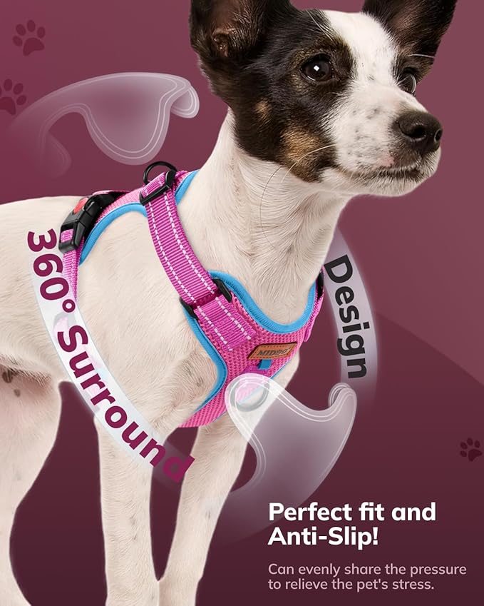 MIDOG No-Pull Dog Harness | Adjustable & Reflective Pet Harness Leash Set for Small Medium Large Dogs Walking, Training| No Choke, Front Clip, Soft Padded Vest with Easy Control Handle - Pink, S