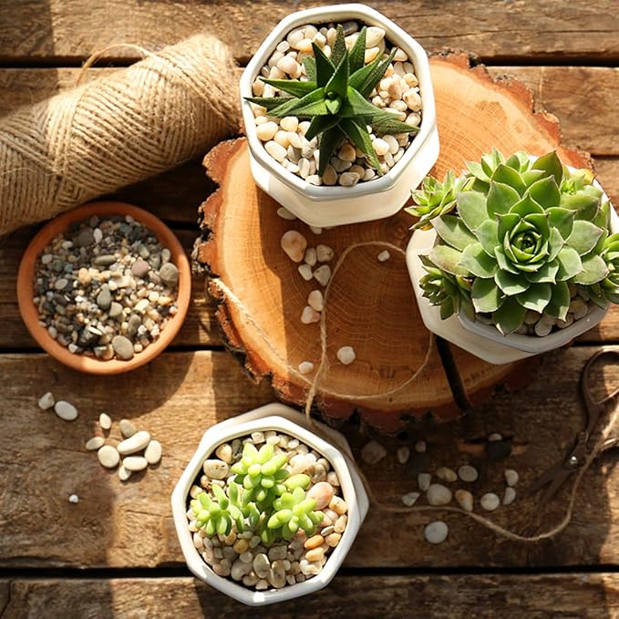 River Rocks Stones Natural Decorative Mixed Color Pebbles Fish Tank Gravel Small Garden Rocks Soil Cover for Aquariums, Landscaping, Vase Fillers, Succulent, Tillandsia, Cactus, Terrarium Plants 2.2lb