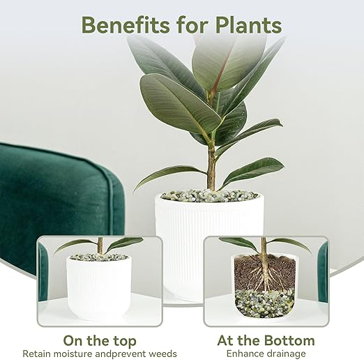 5LB Succulent and Cactus Pebbles, 1/5 Inch Jade Pebbles for Indoor Plants, Decorative Gravel for Vases, Bamboo, Succulent, Terrarium, Crafts, Cactus