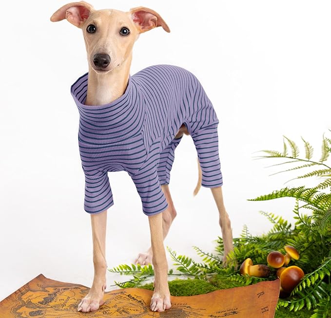 Dog Sweaters for Small Dogs Girls Boys, Striped Pet Sweaters for Fall Winter Dog Clothes, Turtleneck Pullover Knitwear for Small Medium Large Dog- ( Available in multiple colors)