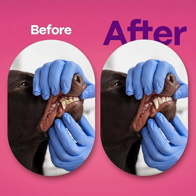 DOCO Dog Teeth Cleaning Wipes Dental Finger Wipes for Cats & Dogs Remove Plaque & Tartar, Freshen Breath, No Rinse, Easy & Effective Pet Tooth Cleaning Kit for Oral Care, Bacon Flavor, 50 Count