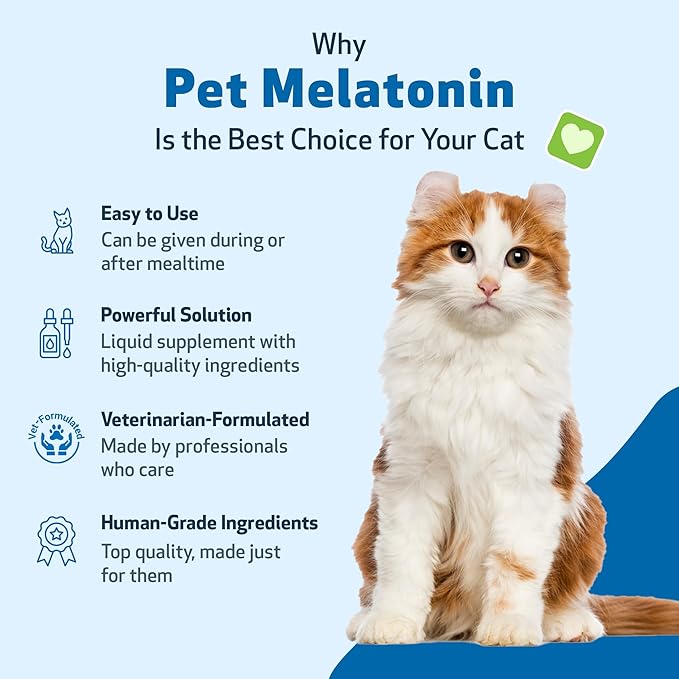 Pet Wellbeing Pet Melatonin for Cats - Supports Adrenal & Thyroid Health, Cortisol Balance, Helps Maintain Normal Sleep Patterns - Veterinarian-Formulated Liquid Supplement 2 fl oz (59 ml)