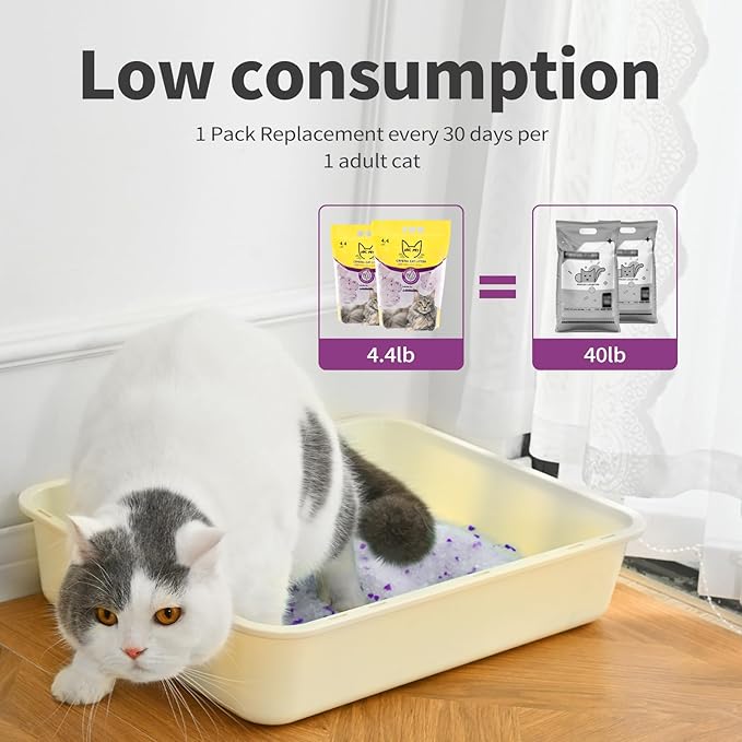 Cat Litter Crystals No Clumping Odor Control Kitty Litter Non-Clumping No scooping Low Dust, Low Tracking, Dehydrates Waste Lavender - 25.8 lbs (6 x 4.3 lb Packs)