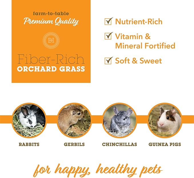 Orchard Grass Hay for Guinea Pigs, Rabbits, Hamsters & Small Pets by Bunny Honey - Fresh, High-Fiber, Supports Digestive Health & Dental Care, Non-Blended & Fresh Cut