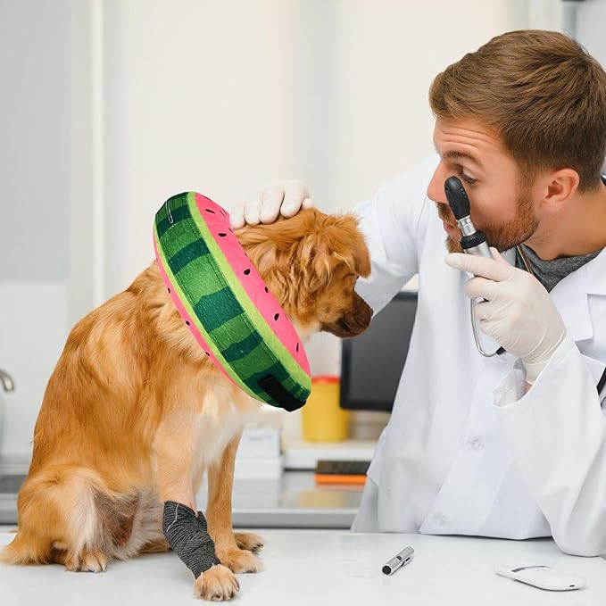 Katoggy Inflatable Dog Cone Collar for Dogs After Surgery, Soft Adjustable Blow up Donut E-Collar for Small Medium Large Dogs and Cats