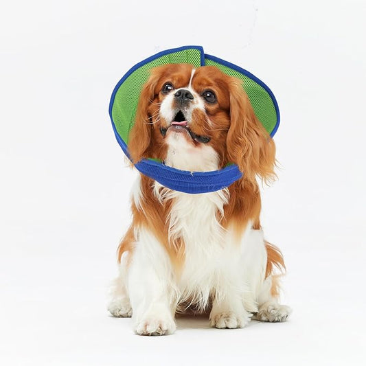 Inspack Soft Dog Cone Collar Alternative, E Cones for Small Dogs/Cat/Puppy to Stop Licking after Surgery, Comfortable All Paws Comfy Elizabethan Collars, Neuter Recovery Ecollars of Shame Alternatives