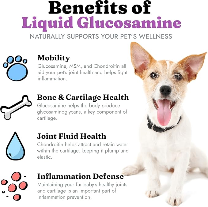 Liquid Glucosamine for Dogs Cats & Horses with Chondroitin, MSM, and Hyaluronic Acid, Hip & Joint Supplement for Mobility & Comfort, Supports Joint Health & Flexibility, Mobility, & Protection, 32 oz