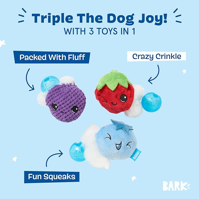 Barkbox Wild Berry Bunch Multi Part Toy for Dogs and Puppies - Small Breeds