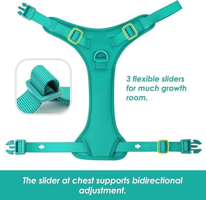 No Pull Dog Harness, Puppy Vest with Front Clip for Small Medium Large Sized Dog(MARRS Green,XS)