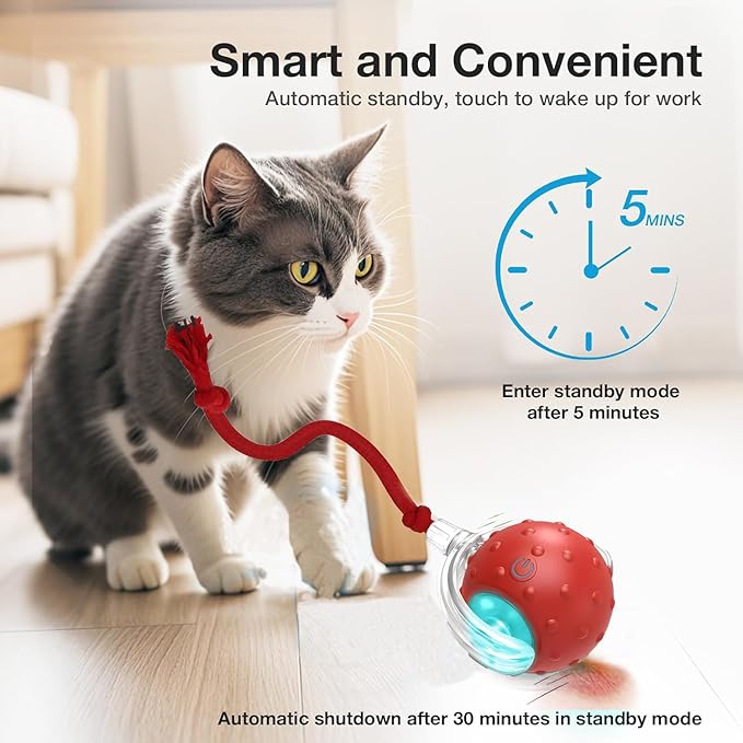 2-Pack Interactive Cat Toys Ball - 2025 New Gen with Smart Obstacle Avoidance,Bird Chirps & Auto Wake-Up,Includes 2 Speedy Tail 2.0 Ropes, Ideal Kitten Toys for Bored Indoor Cats (Red & Blue)