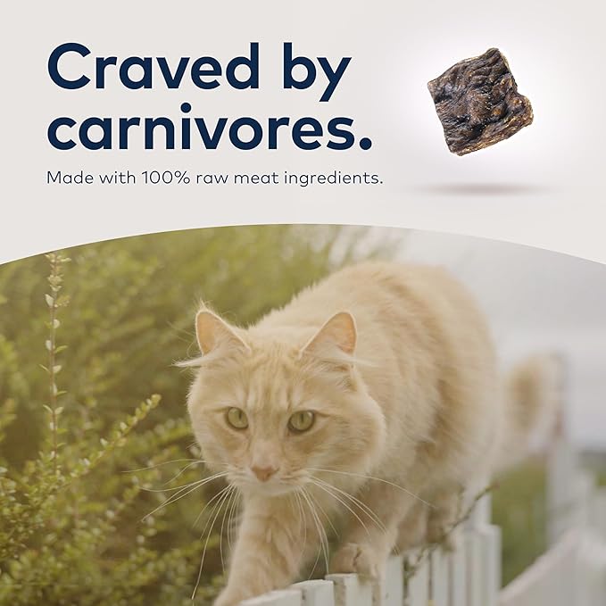 ZIWI Peak Air-Dried Cat Food – Mackerel & Lamb - All Natural, High Protein, Grain Free, Limited Ingredient w/ Superfoods (35.2oz)