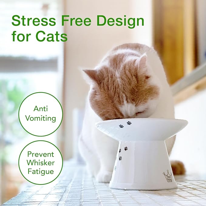 Necoichi Extra Wide Raised Cat Food Bowl, Elevated, Prevent Neck & Whisker Fatigue, Dishwasher and Microwave Safe, No.1 Seller in Japan! (Cat, Extra Wide)