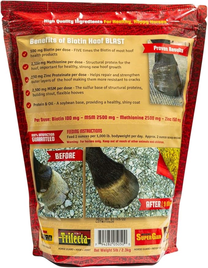 Horse Guard Hoof Supplements for Horses - 38 Servings - Biotin Hoof Blast 4.8lb Bag with 100mg Biotin per Serving - Concentrated Equine Hoof Health, Strengthener with MSM, Methionine, Zinc